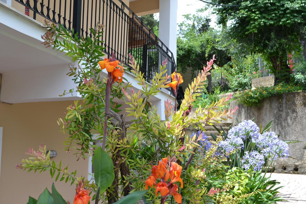 Virginia Hotel apartamentowy Benitses (Corfu)